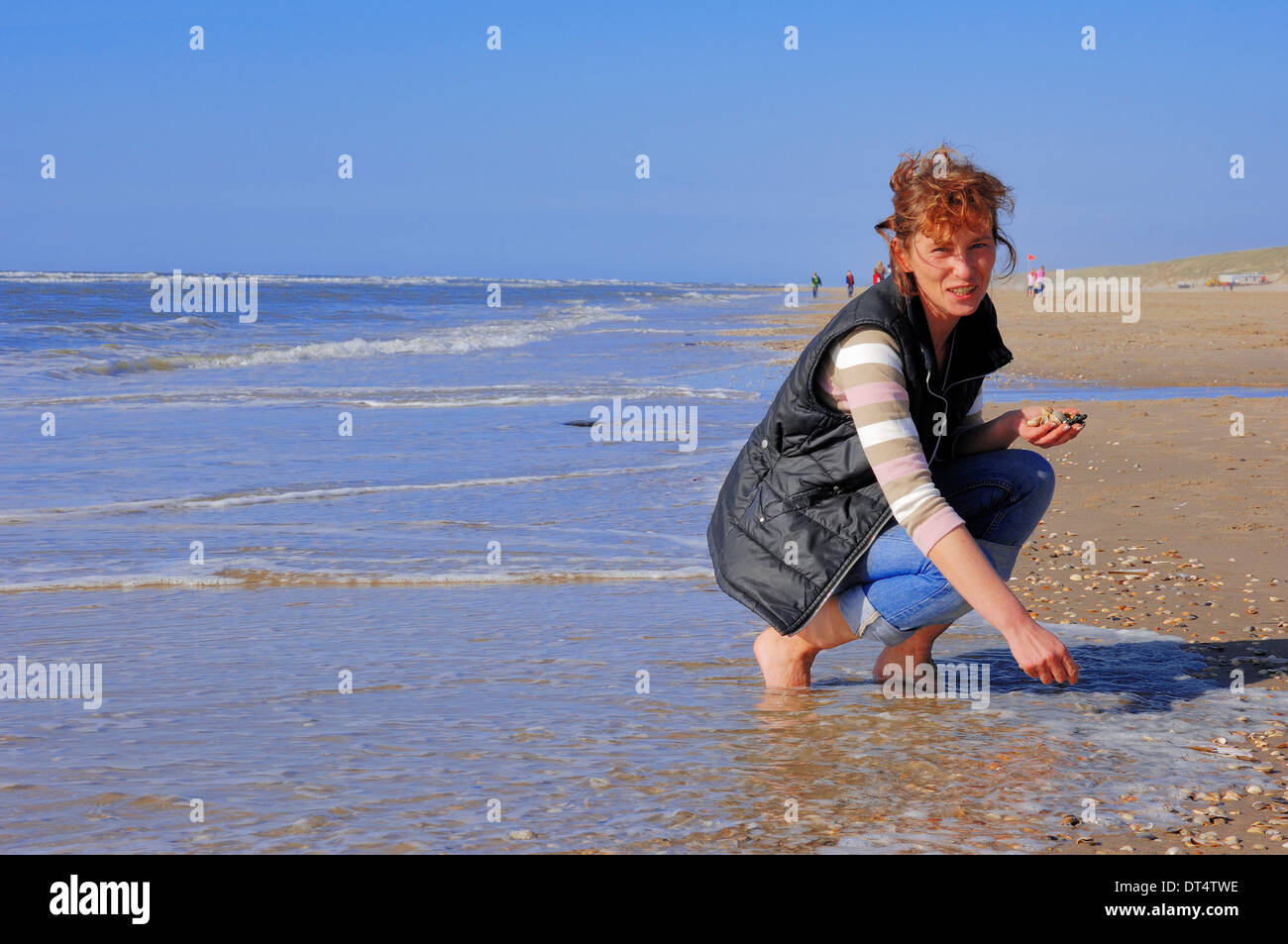 Mujer en busca de conchas de mar, sobre la playa, Castricum aan Zee, Holanda Foto de stock