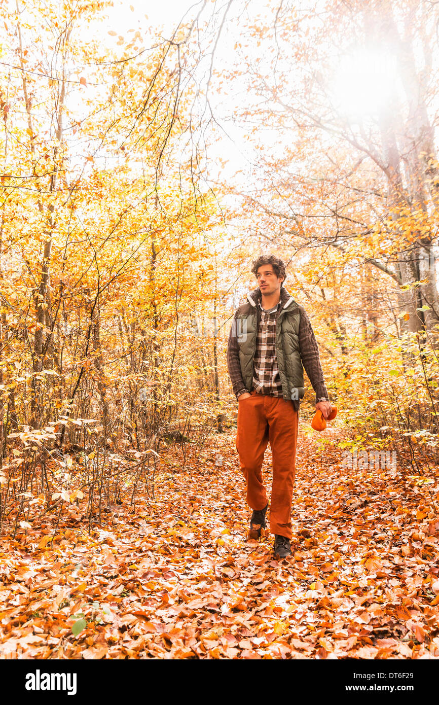 Hombre caminando en el bosque en otoño Fotografía de stock - Alamy