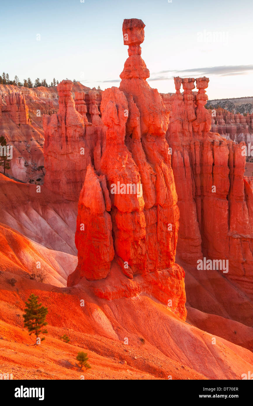 El martillo de Thor y otros hoodoos en el Anfiteatro Bryce, el Parque Nacional Bryce Canyon, Utah. Foto de stock