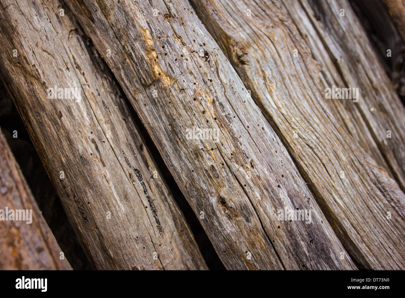 Palitos de madera fotografías e imágenes de alta resolución - Alamy