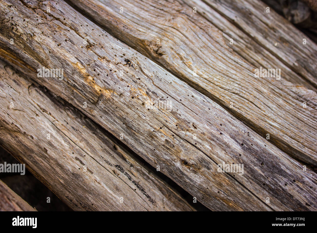 Palitos de madera fotografías e imágenes de alta resolución - Alamy