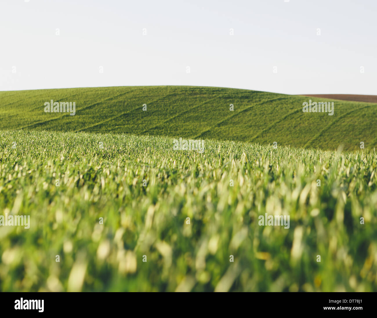 My Image 10