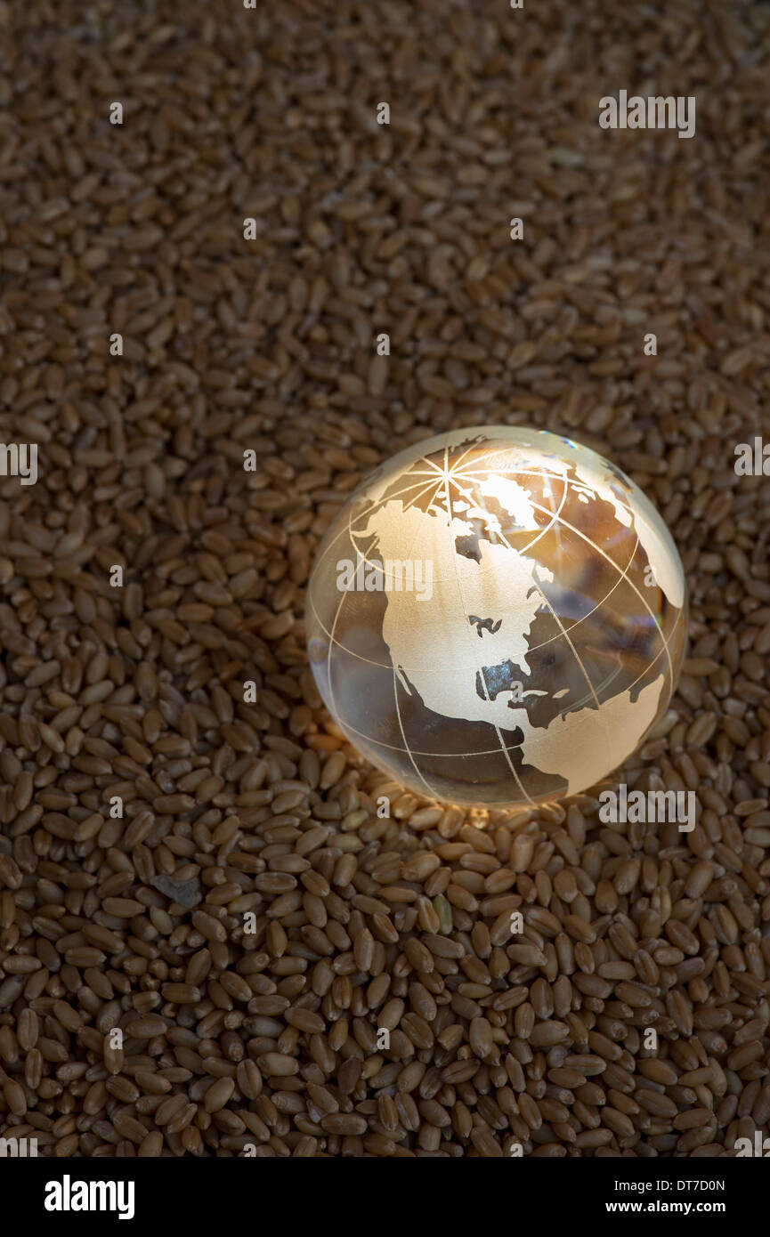 Globo de Cristal en granos de trigo resaltada por el sol para representar una crisis alimentaria mundial / escasez Foto de stock