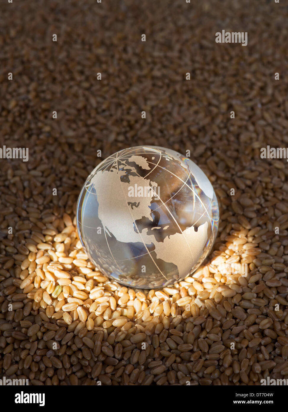 Globo de Cristal en granos de trigo resaltada por el sol para representar una crisis alimentaria mundial / escasez Foto de stock