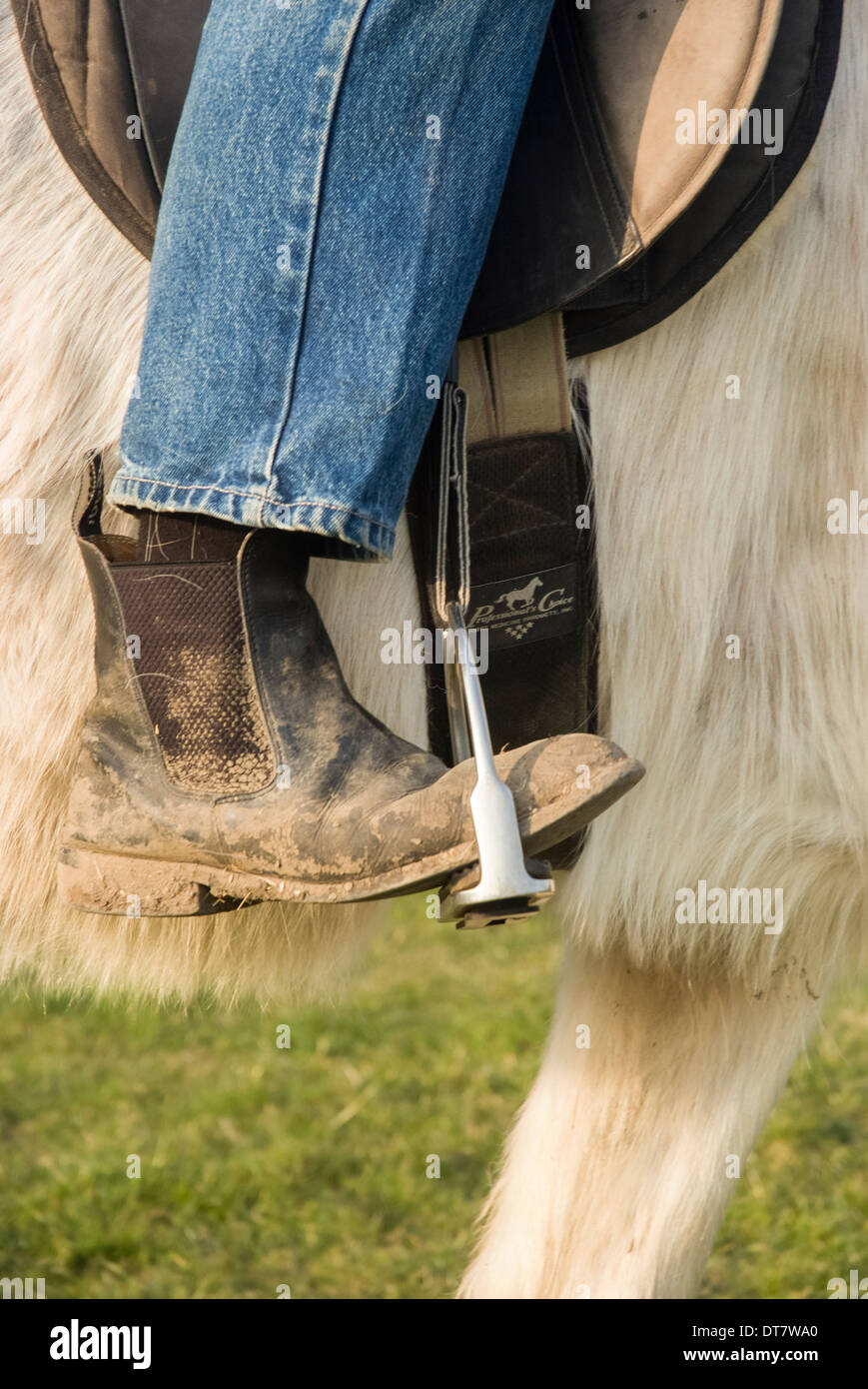 Cerrar fotografía de jinetes botas en estribos sobre un caballo blanco  Fotografía de stock - Alamy