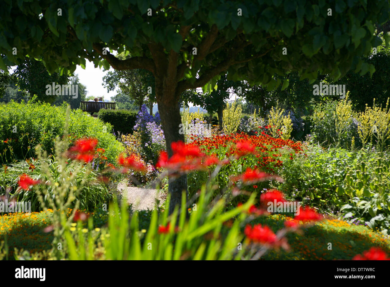 Pareja en banco de plantas ricamente plantadas de colores calientes en Loseley Gardens, Surrey, Reino Unido Foto de stock