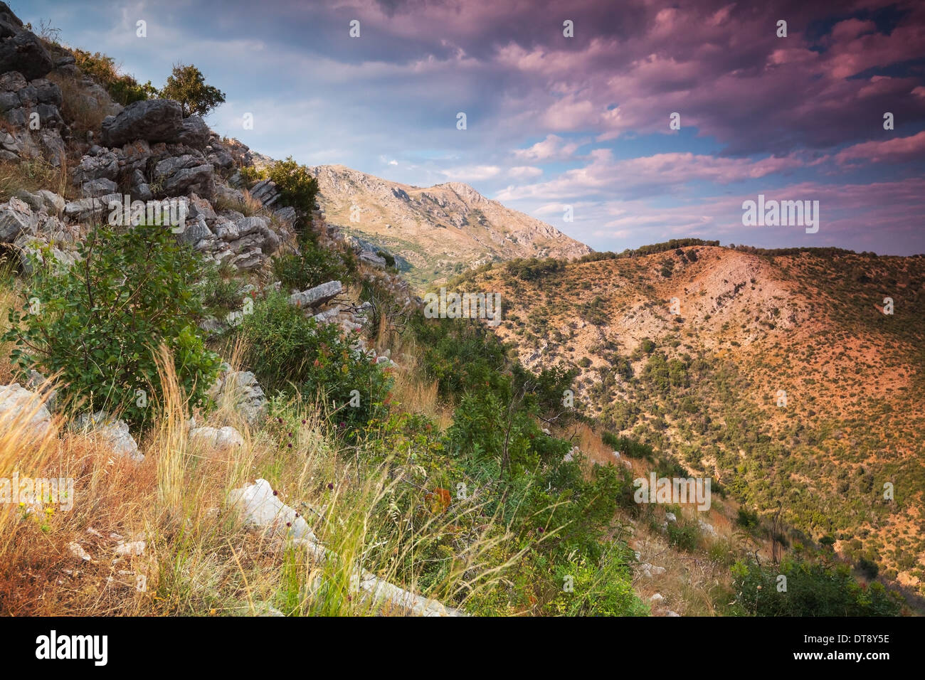 Mañana de Verano colorido paisaje de montaña, Montenegro Foto de stock