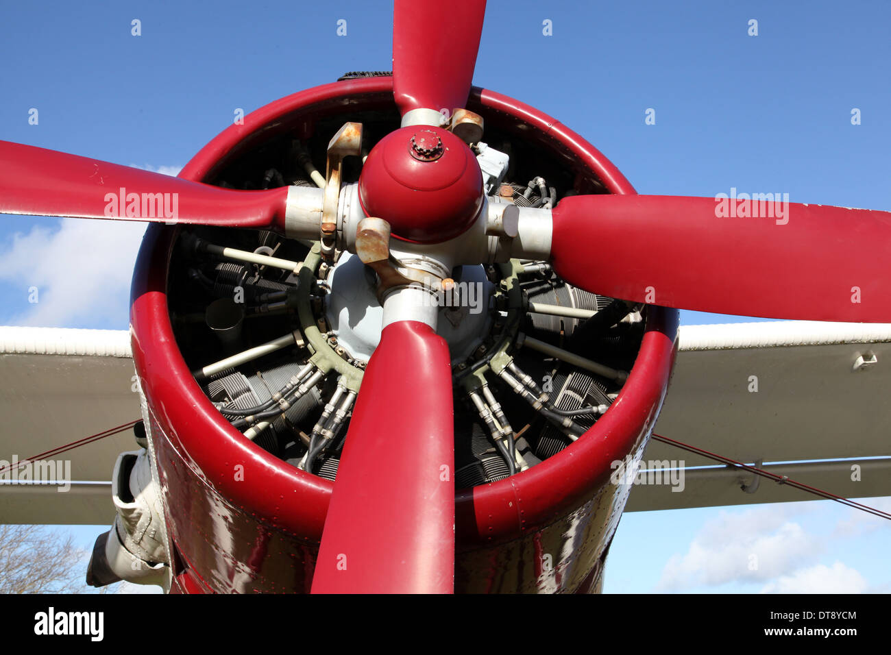 El motor radial de una aeronave AN2 Antanov - Shvetson Ash-21 Foto de stock
