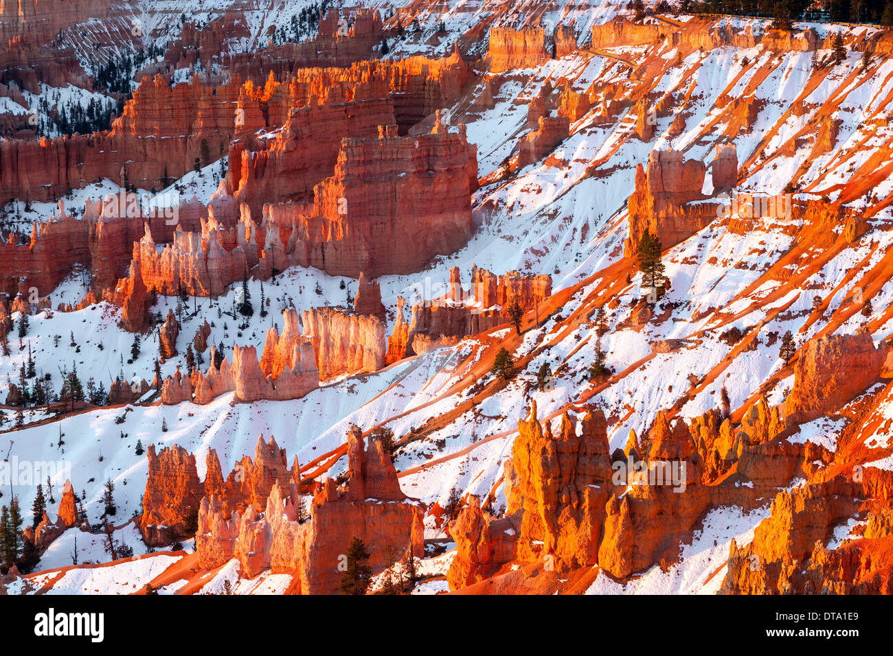 Amanecer de invierno en el Parque Nacional de Bryce Canyon, Utah, EE.UU. Foto de stock
