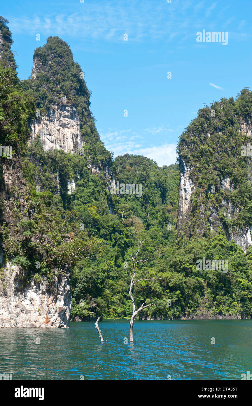 Karst boscosas montañas de piedra caliza con vegetación selvática elevándose desde el agua, depósito Rachabrapha, Chiao Lago Léman Foto de stock