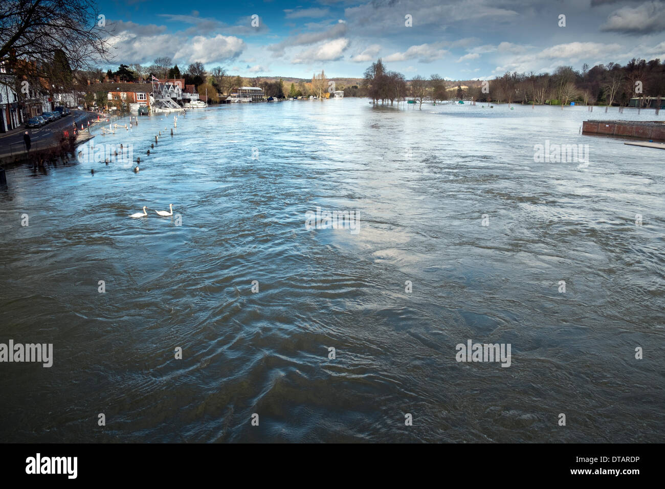 Muy alta e hinchada inundado Río Támesis después de llevar el agua de la inundación; imagen de Henley on Thames bridge. Foto de stock