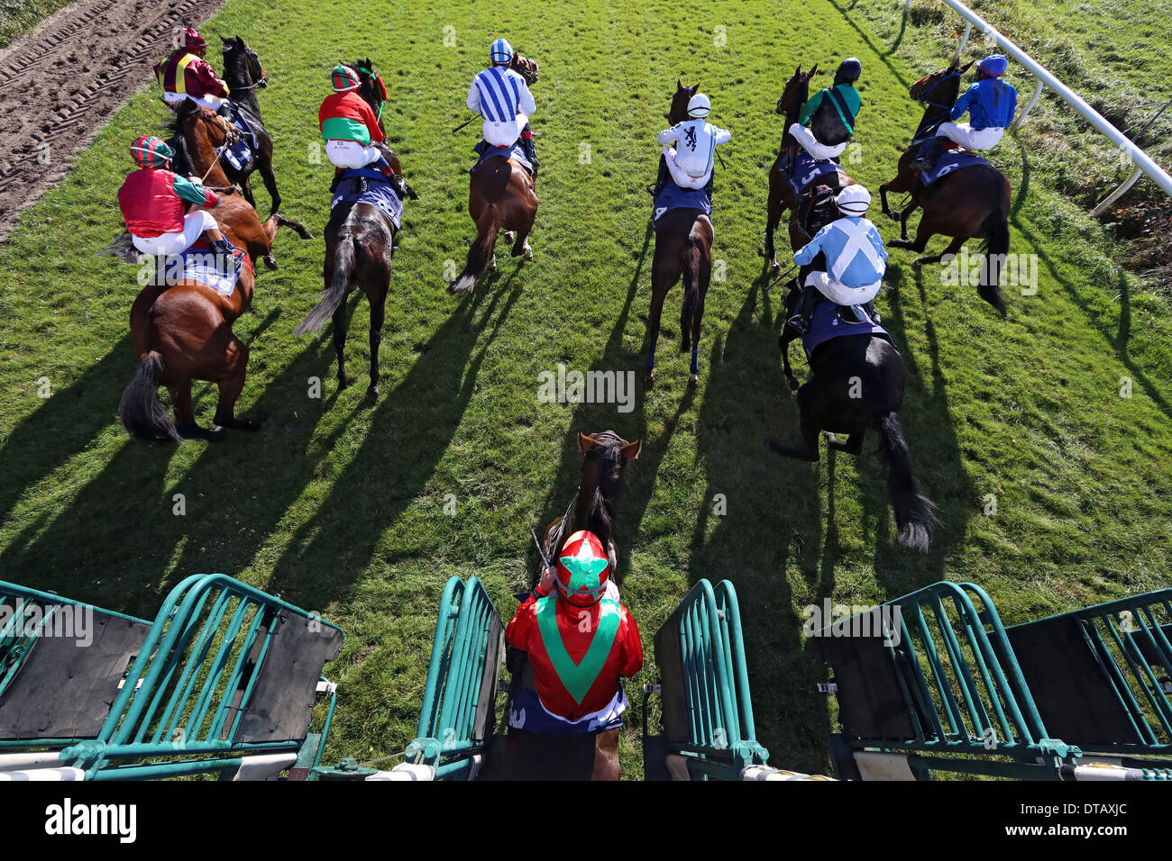 Halle, Alemania, caballos y camellos en el inicio de una carrera de caballos Foto de stock