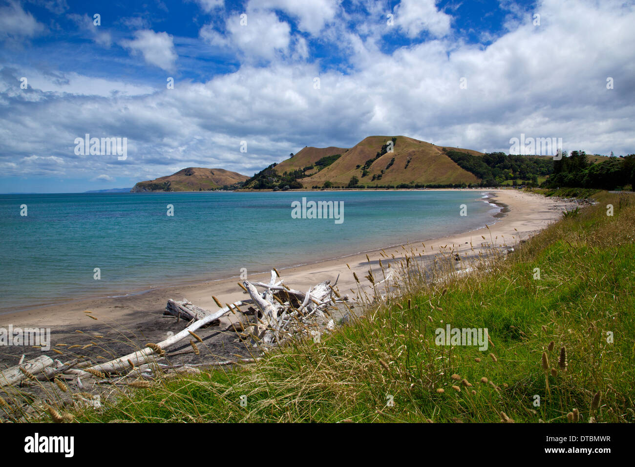 Tokomaru Bay, East Cape, Isla del Norte, Nueva Zelanda Foto de stock