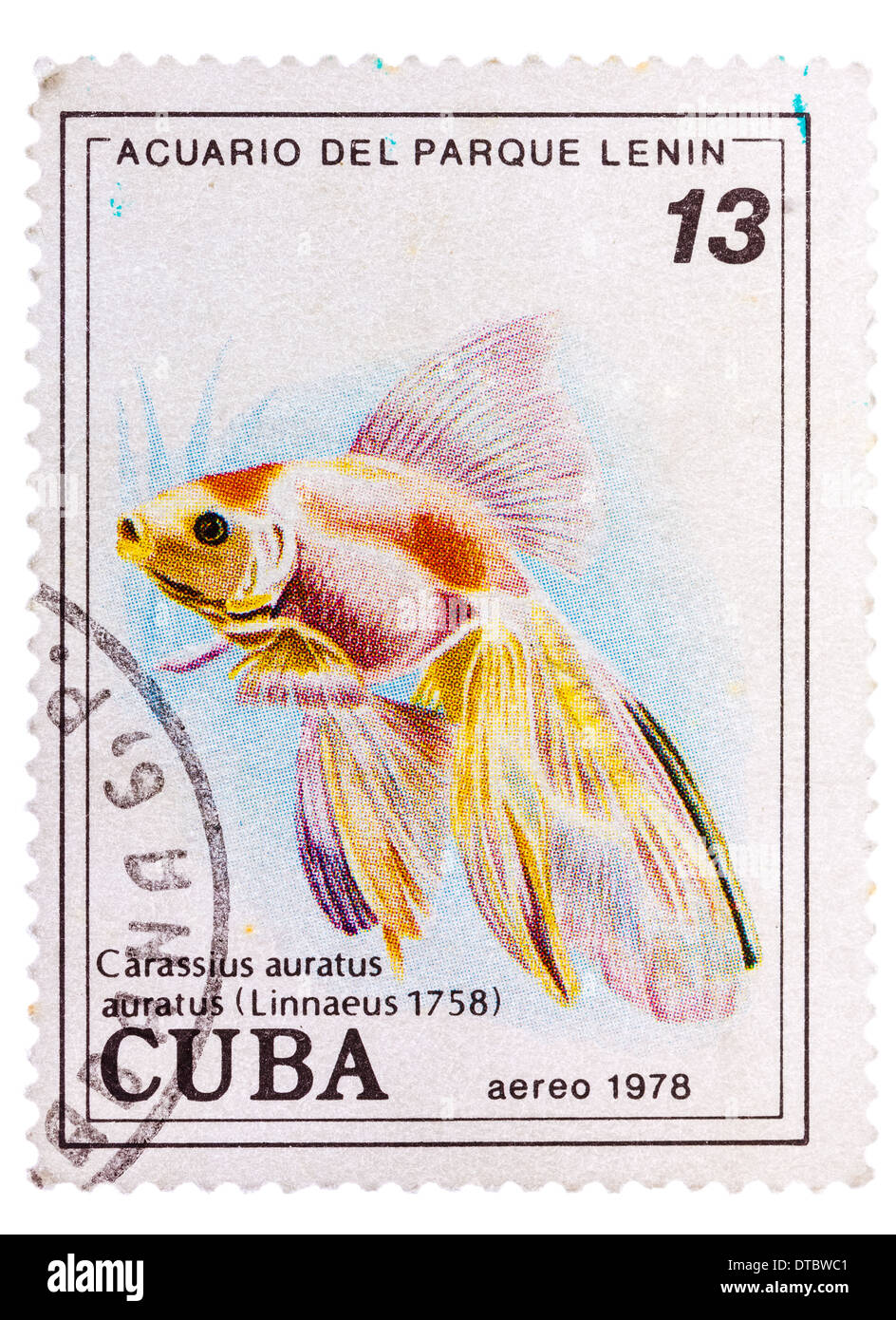 CUBA: circa 1978: un sello impreso en Cuba muestra Carassius auratus auratus - asian goldfish, circa 1978 Foto de stock