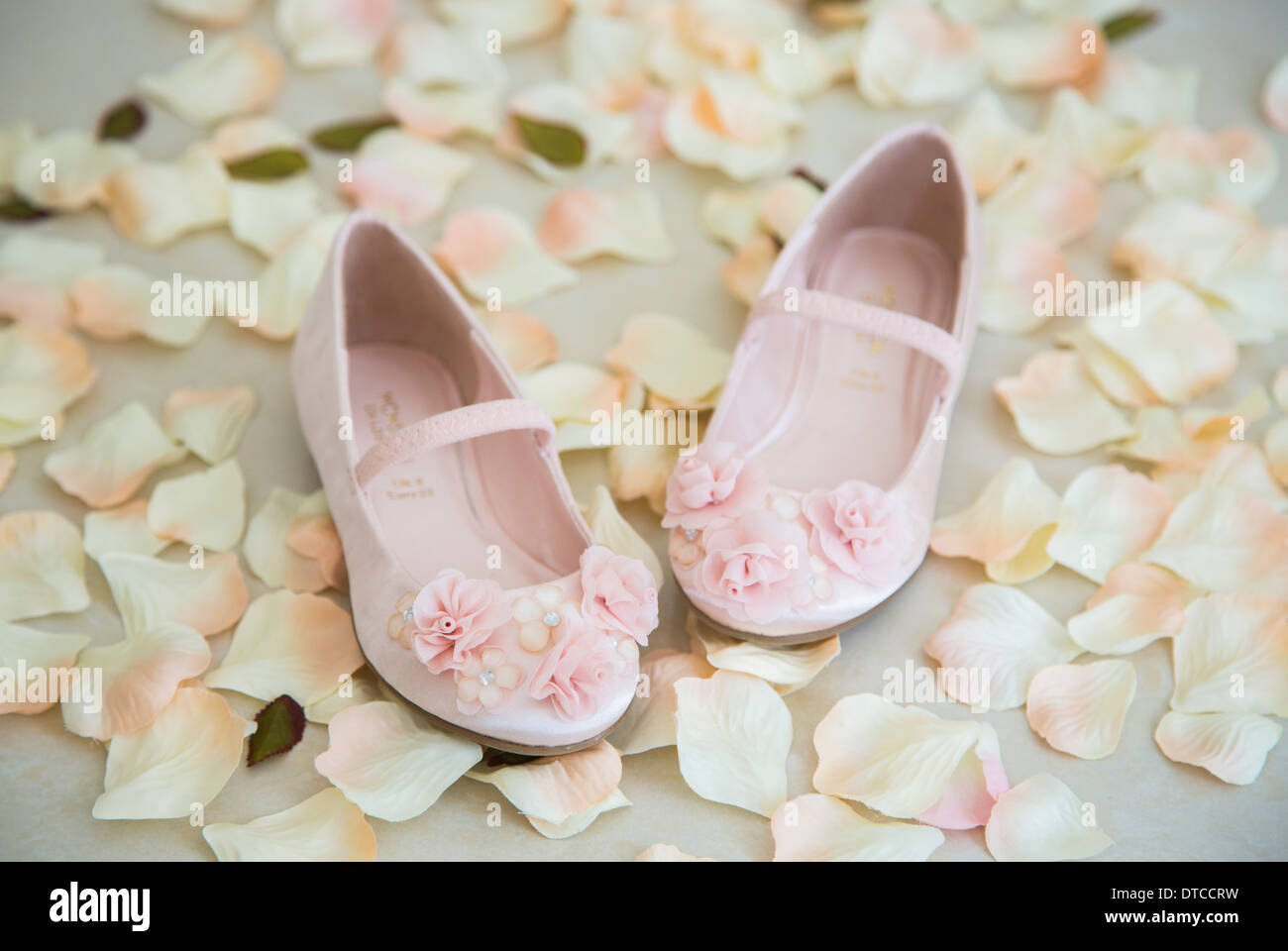 Australia Relación Yo Par de zapatos de ballet rosa clavel/bombas con tela rosa decoraciones para  un yound bridesmaid como accesorios de boda Fotografía de stock - Alamy