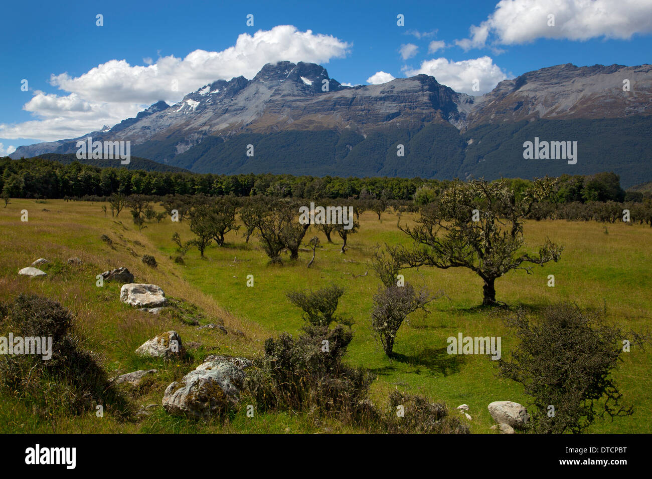 Forbes montañas cerca de El Paraíso, Isla del Sur, Nueva Zelanda Foto de stock