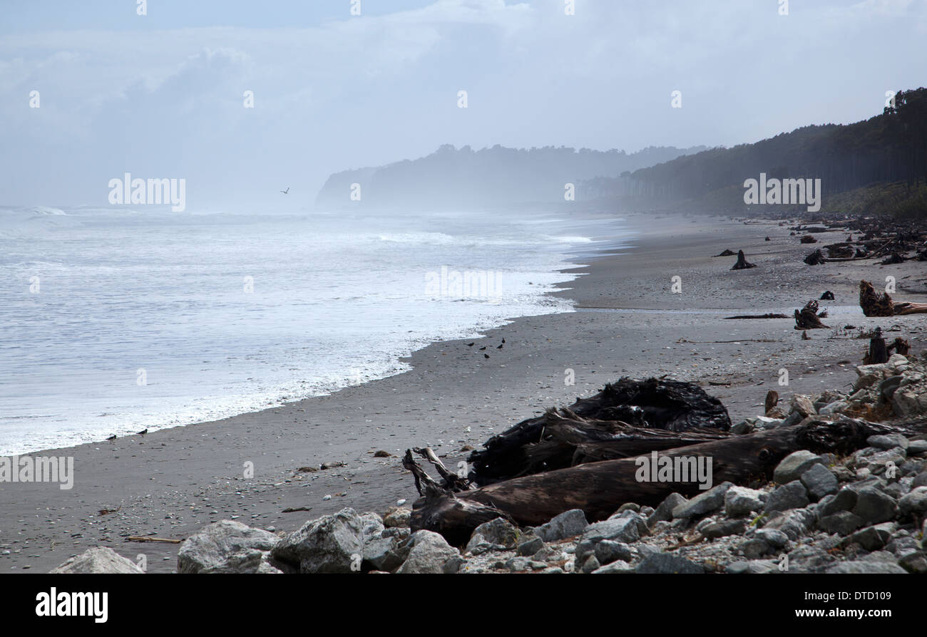 Waita Playa, Costa oeste, cerca de Haast, Isla del Sur, Nueva Zelanda Foto de stock