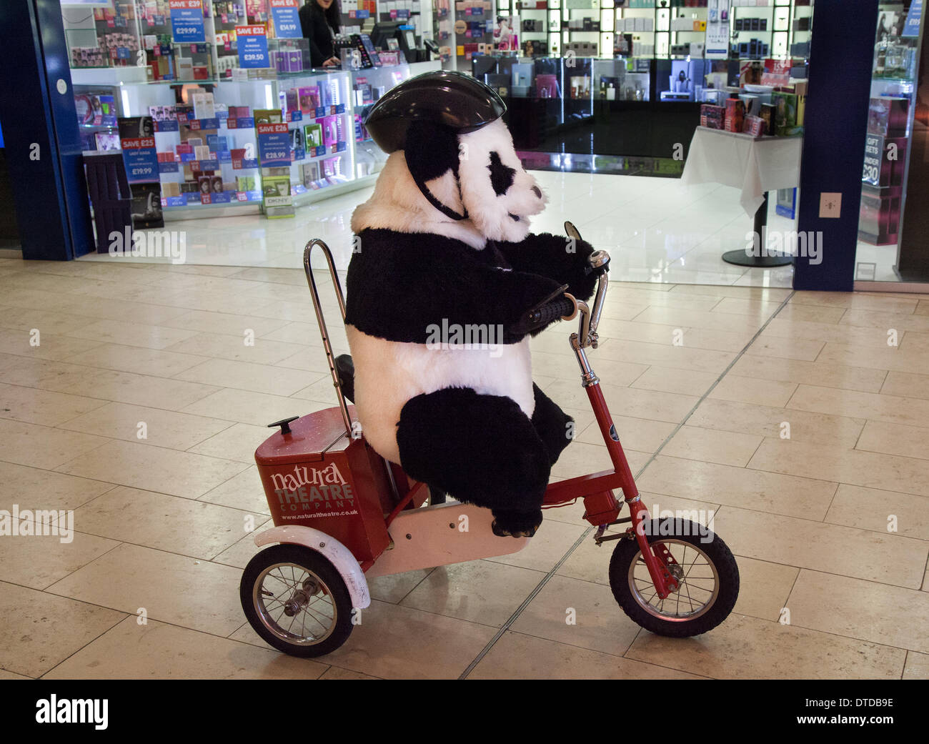 Blackpool, Lancashire, Reino Unido, 15 de febrero de 2014. Gordon, el panda  de ciclismo en una bicicleta como Blackpool vuelve loco a pesar de la  lluvia! Panda en un trike de la "