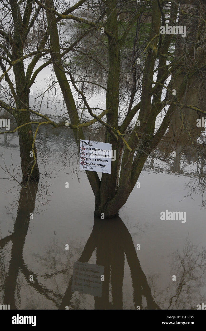 TEC Ltd signo de advertencia en río inundado, Nottignhamshire Trent, Inglaterra, Reino Unido. Foto de stock