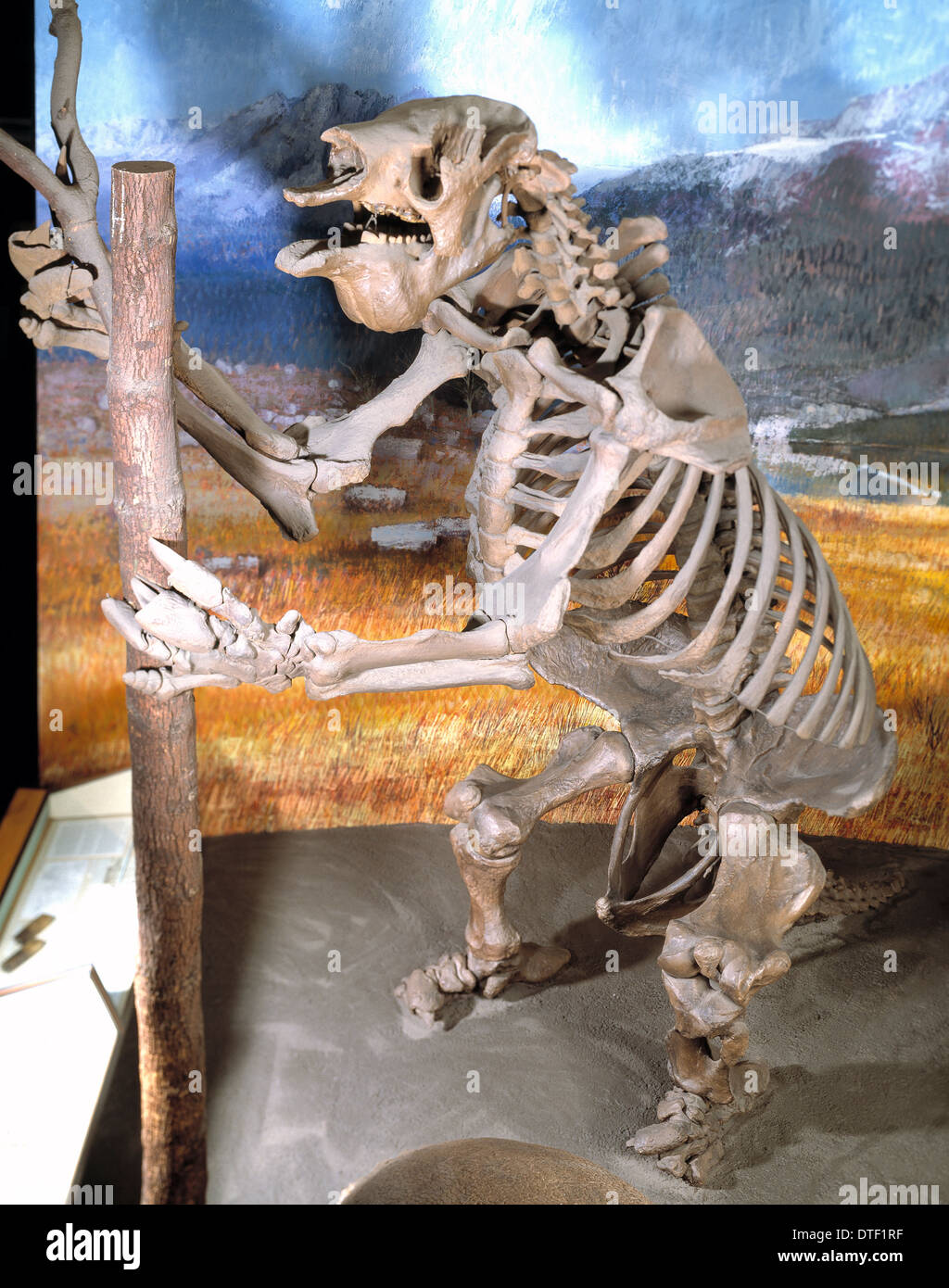 Megatherium, giant Ground Sloth Foto de stock