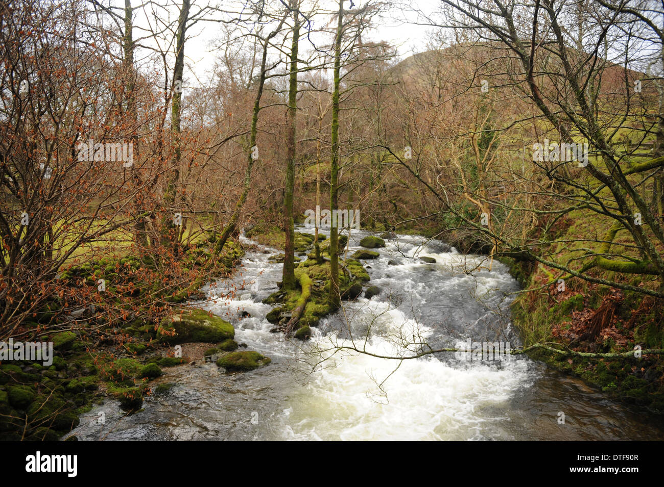 Sandwick Beck Fluyendo hacia Ullswater en el Parque Nacional Lake District, Cumbria, Inglaterra, Reino Unido Foto de stock