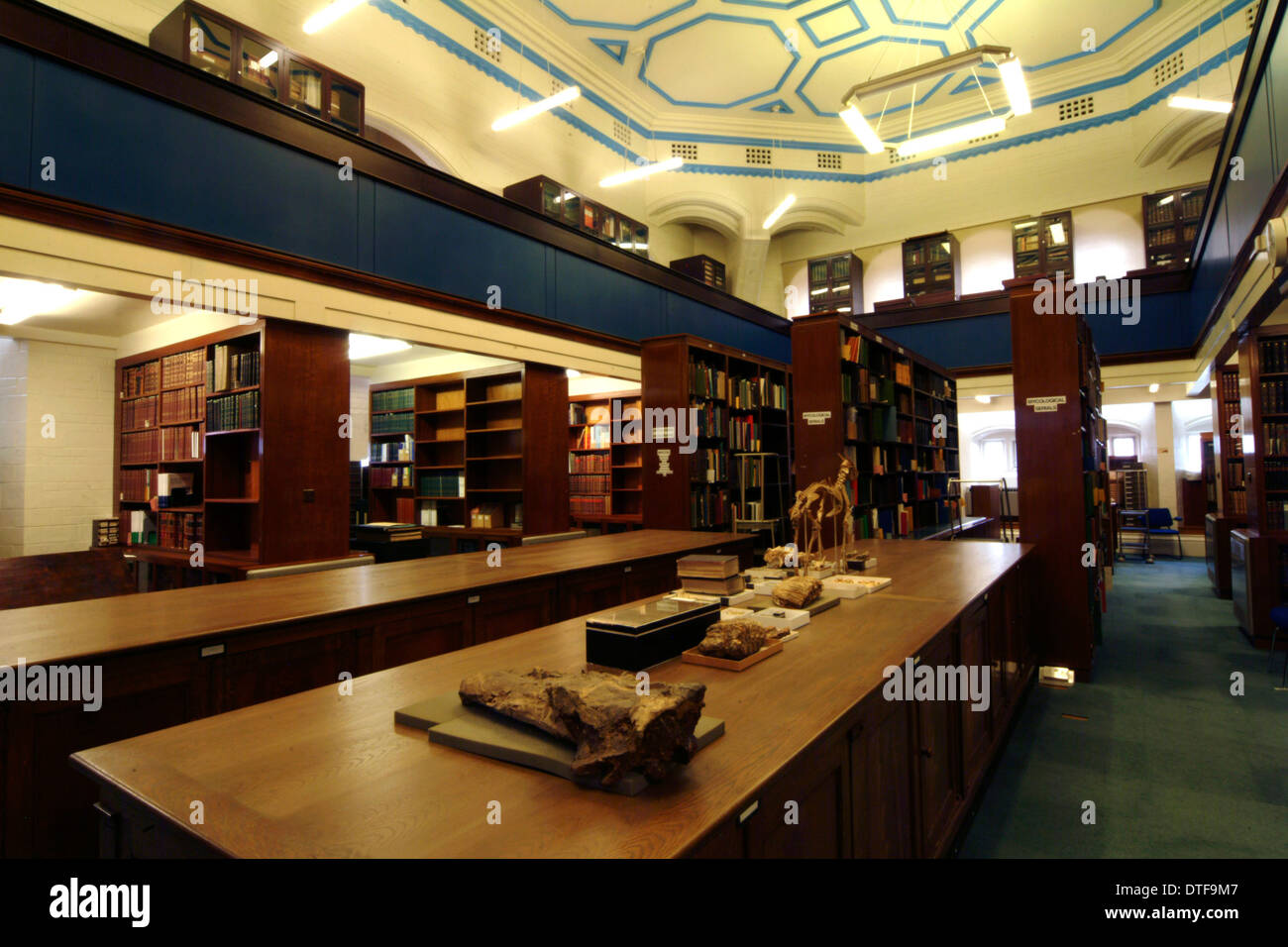 La sala de Colecciones Especiales Biblioteca Botánica Foto de stock