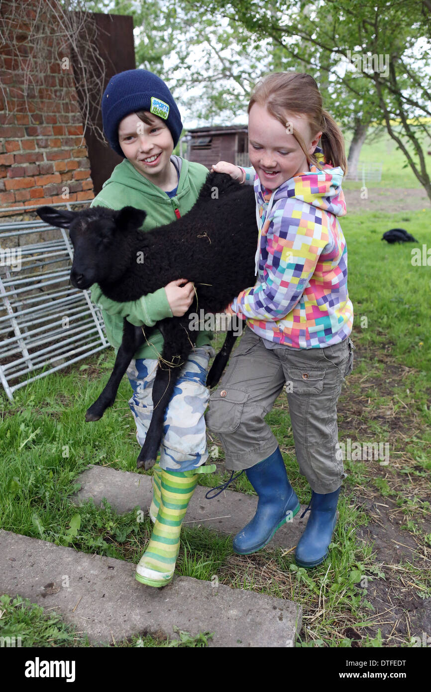 Nueva Kätwin, Alemania, chico y chica llevando un cordero negro Foto de stock