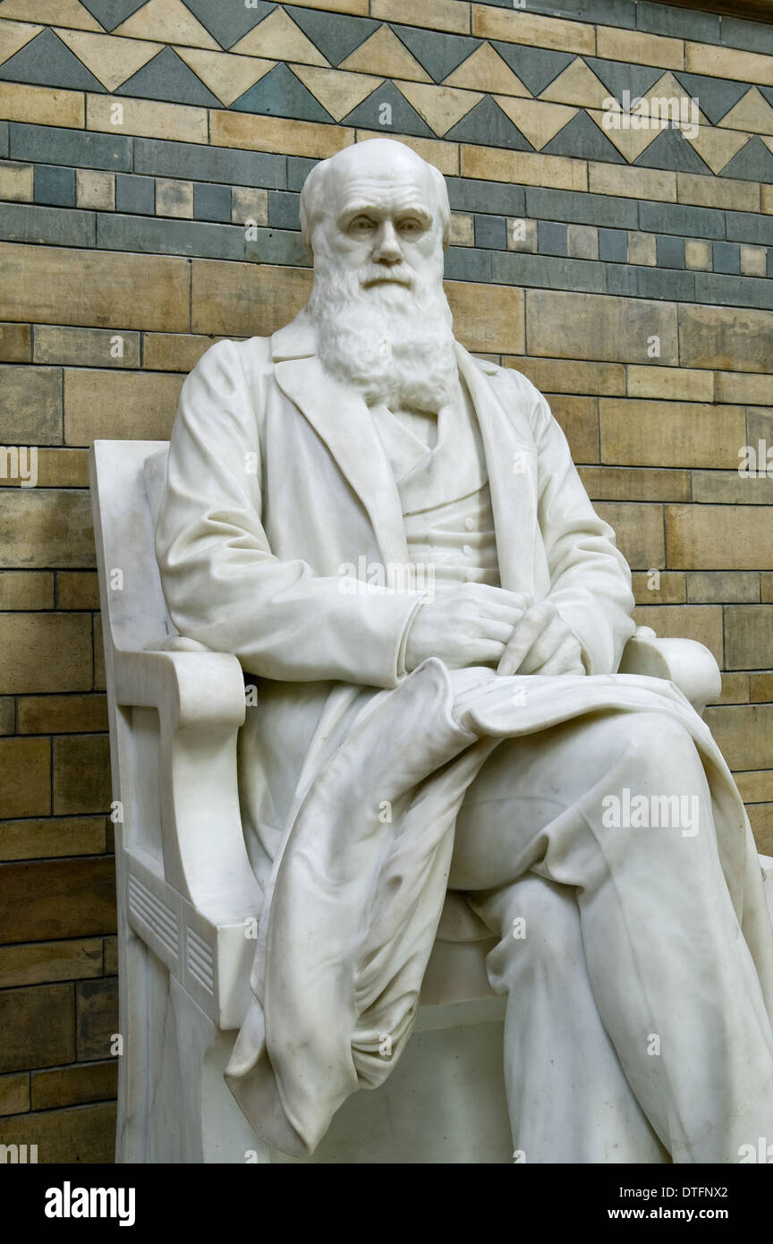 Charles Robert Darwin (1809-1882) Foto de stock
