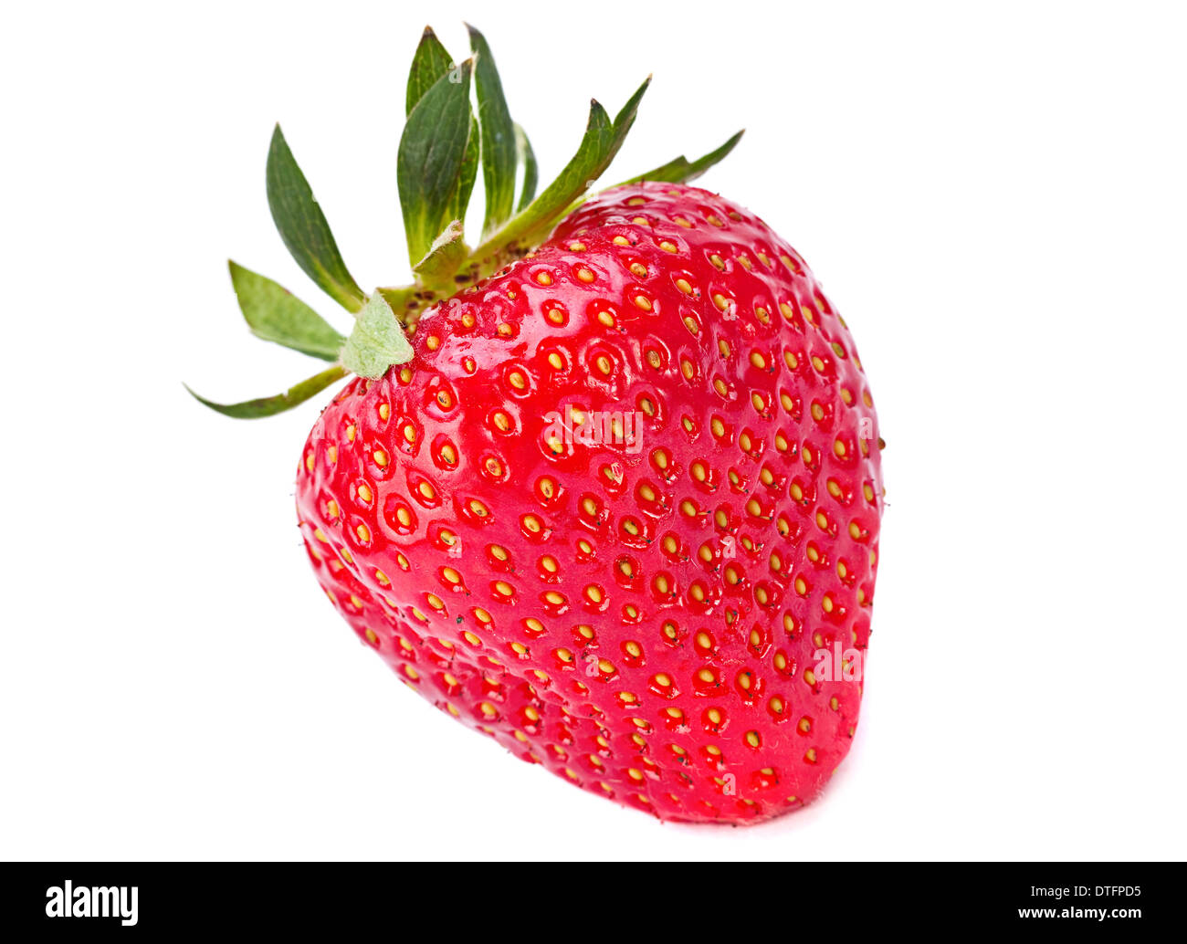El fruto de la fresa closeup aislado en blanco Foto de stock