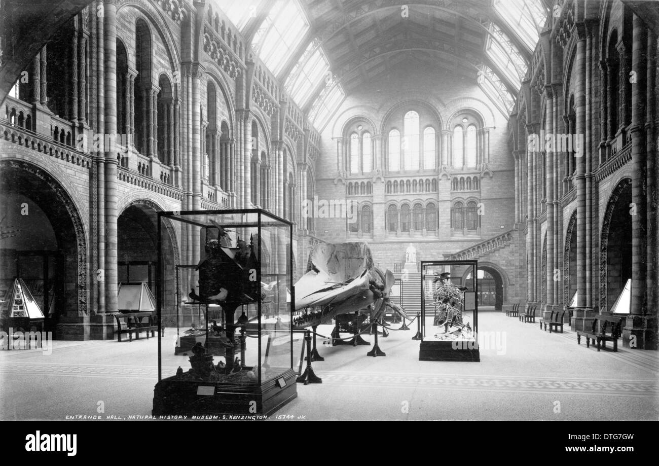 Hall Central, mirando al norte. Julio de 1902 Foto de stock
