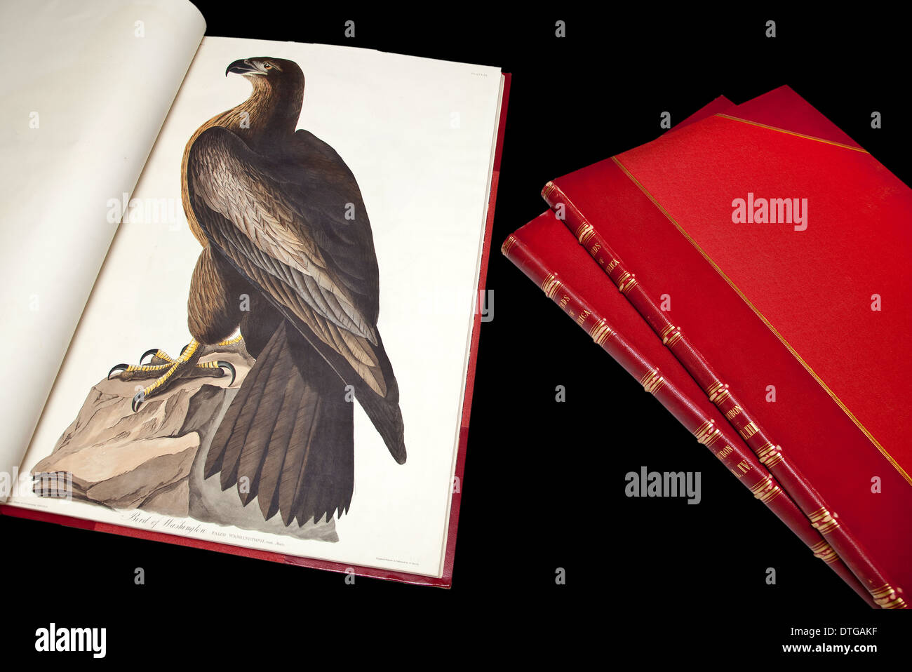 Ejemplar encuadernado de las Aves de América por John James Audubon. Foto de stock