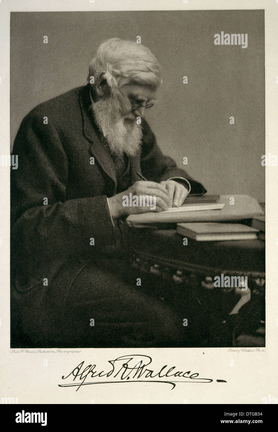 Alfred Russel Wallace (1823-1913) Foto de stock