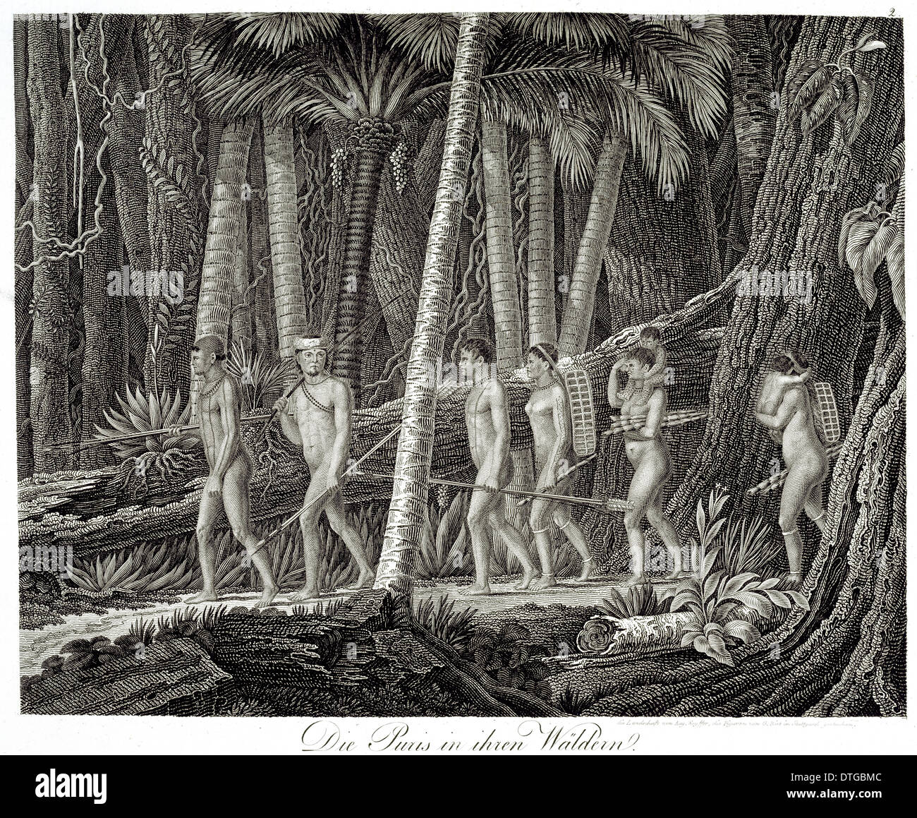 Die Puris en ihren Waldern Foto de stock