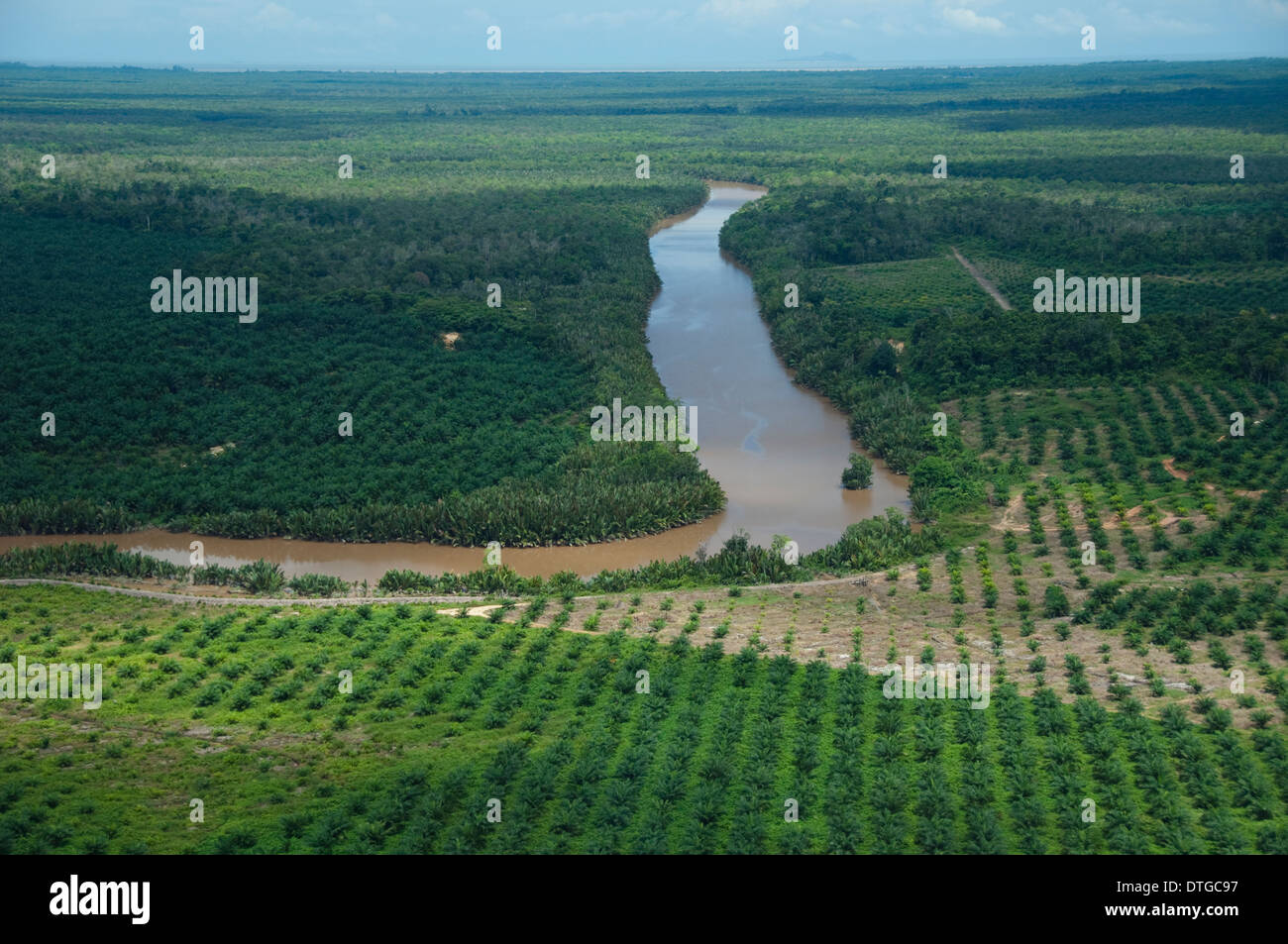 Antena de plantaciones de palma de aceite a lo largo del Río Kinabatangan, Sabah, Malasia Foto de stock
