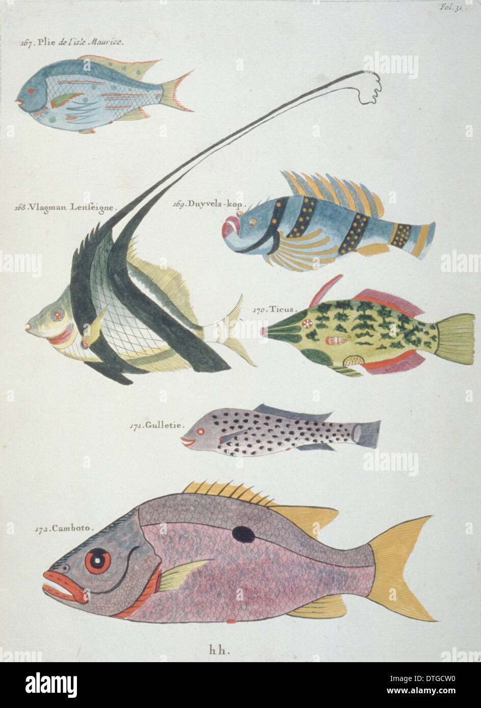 Ilustración de seis peces coloridos Foto de stock