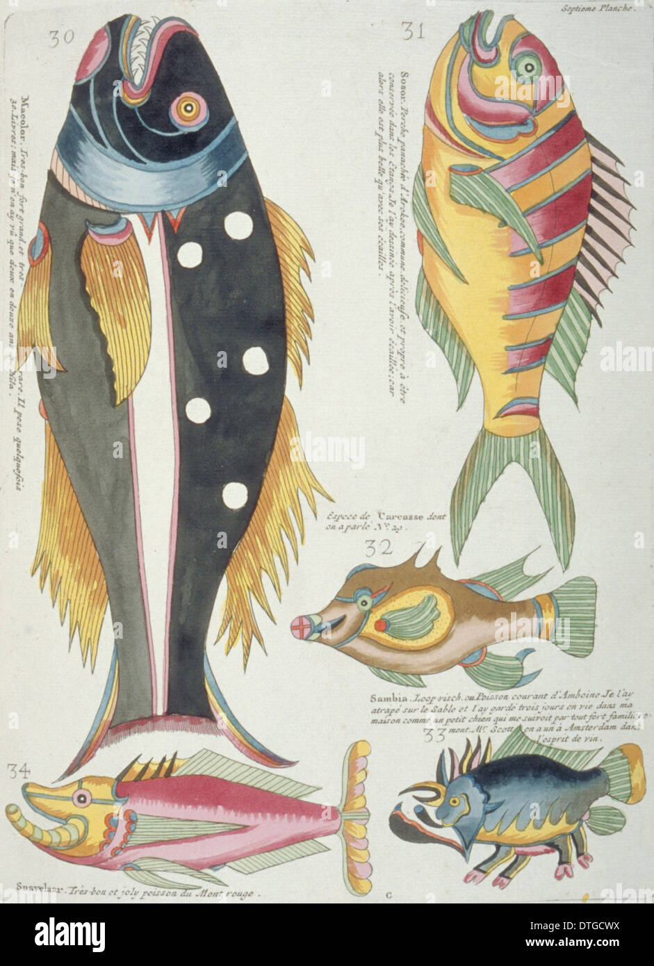 Ilustración de cinco peces coloridos Foto de stock
