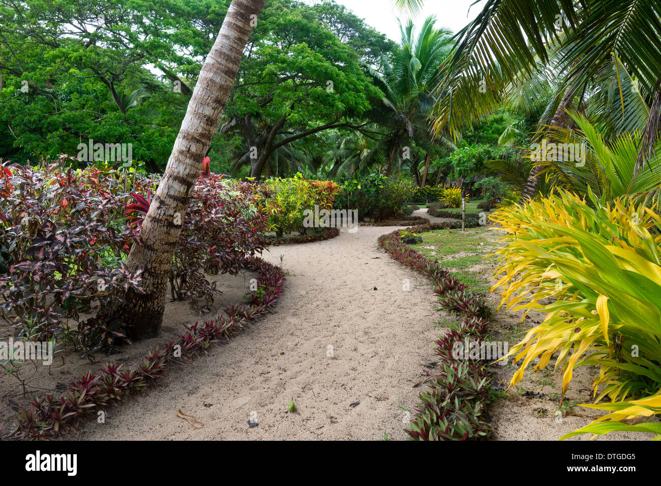 Un sendero a través de un exuberante jardín de South Pacific Resort muestra el detalle dado a la elegancia. Foto de stock