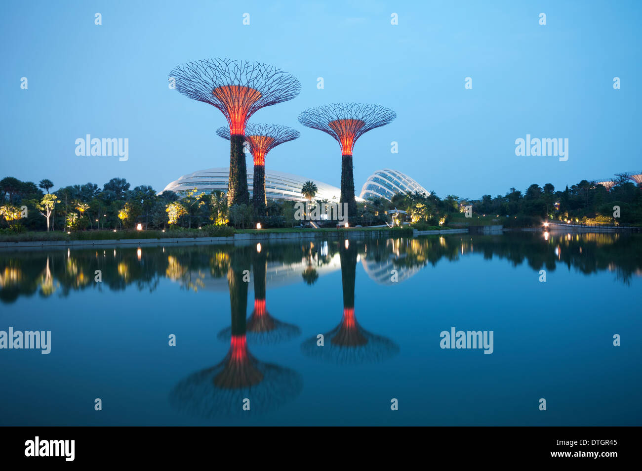 Vista de noche de la Supertree Grove en el Graden por la bahía en Singapur. Foto de stock