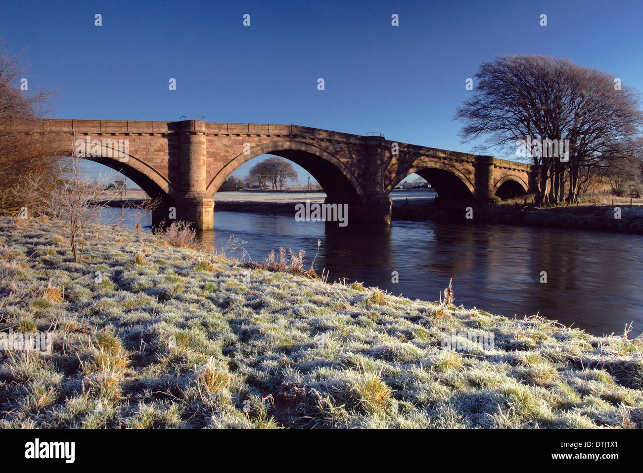 El río Clyde en Hyndford puente cerca de Lanark, South Lanarkshire Foto de stock