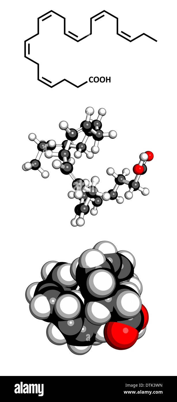 El ácido graso Omega-3 docosahexaenoico (DHA) molécula. Foto de stock