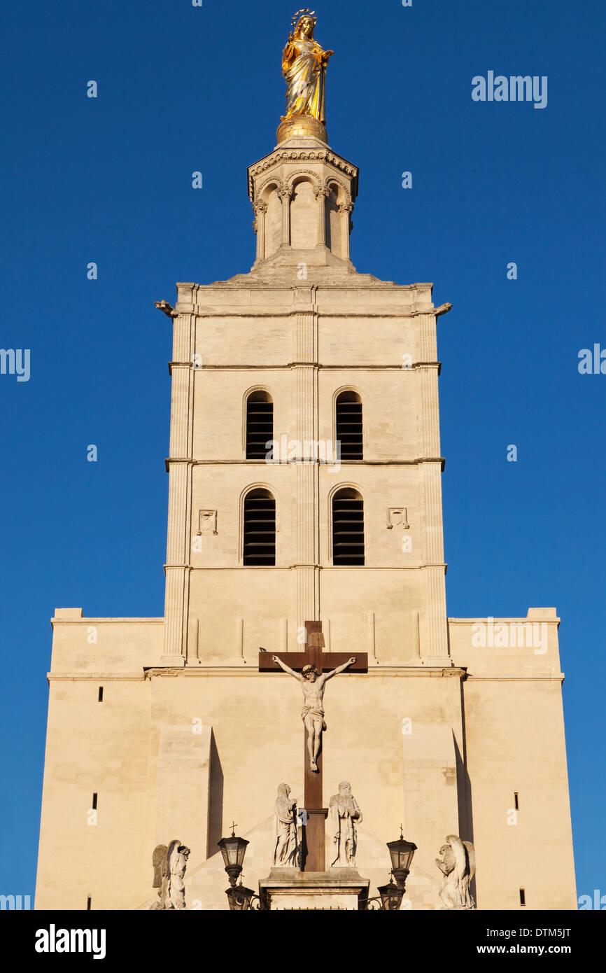 Metropole Notre Dame des Doms en Avignon, Francia. Foto de stock