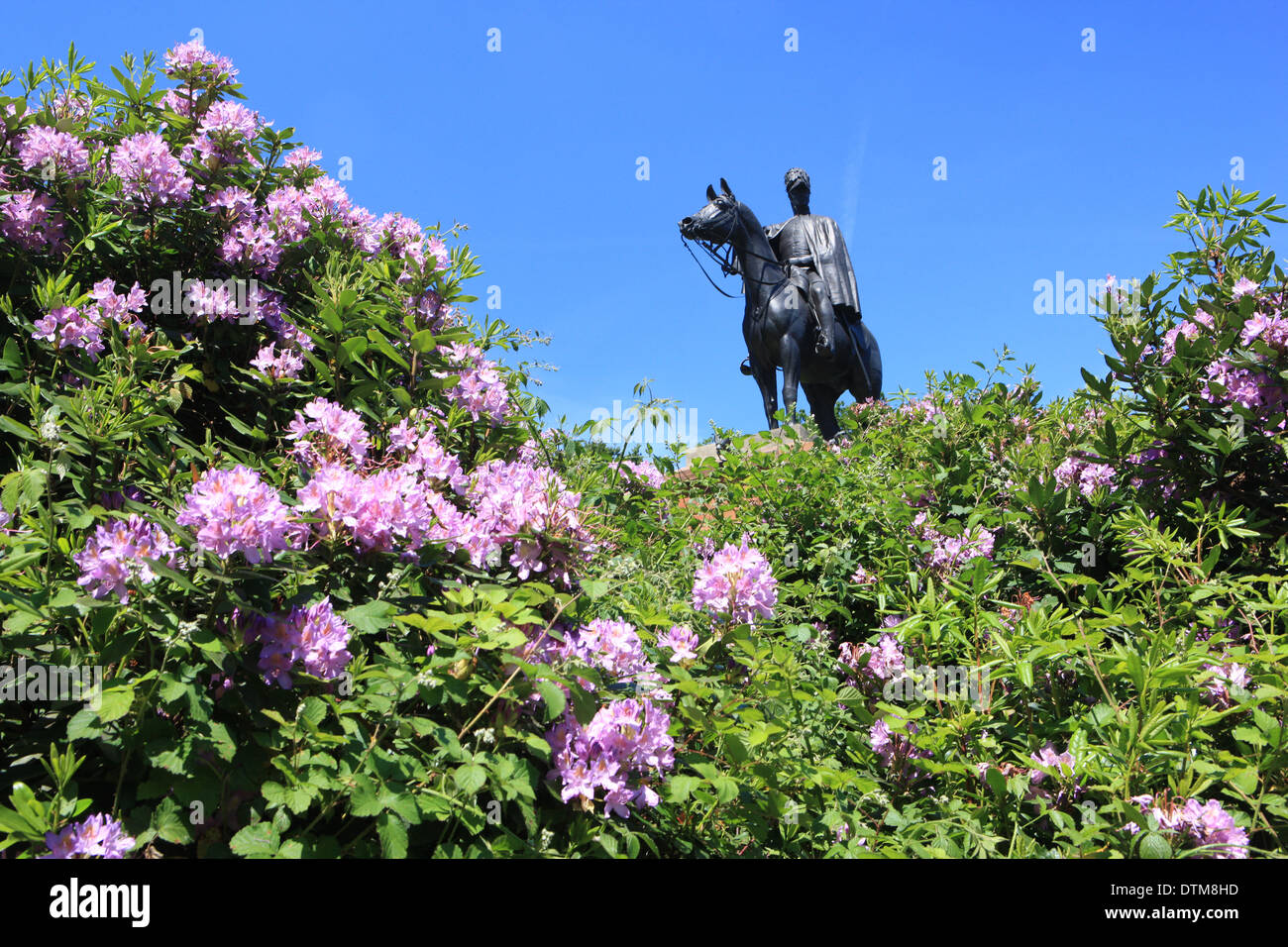 Estatua del Duque de Wellington Arthur Wellesley en su caballo en Copenhague Aldershot Round Hill, con su rododendro Foto de stock