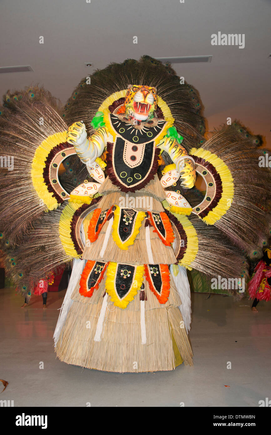 Brasil, Amazonas, Parintins. Boi Bumba Show Folclórico, jaguar traje