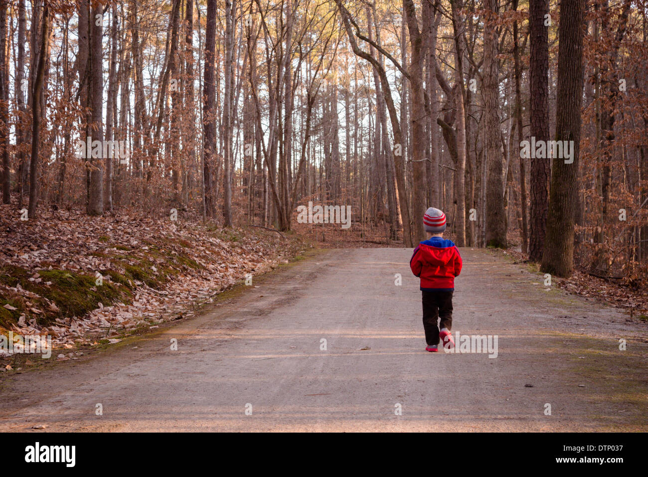Pequeño niño caminando por un sendero en el bosque. Foto de stock