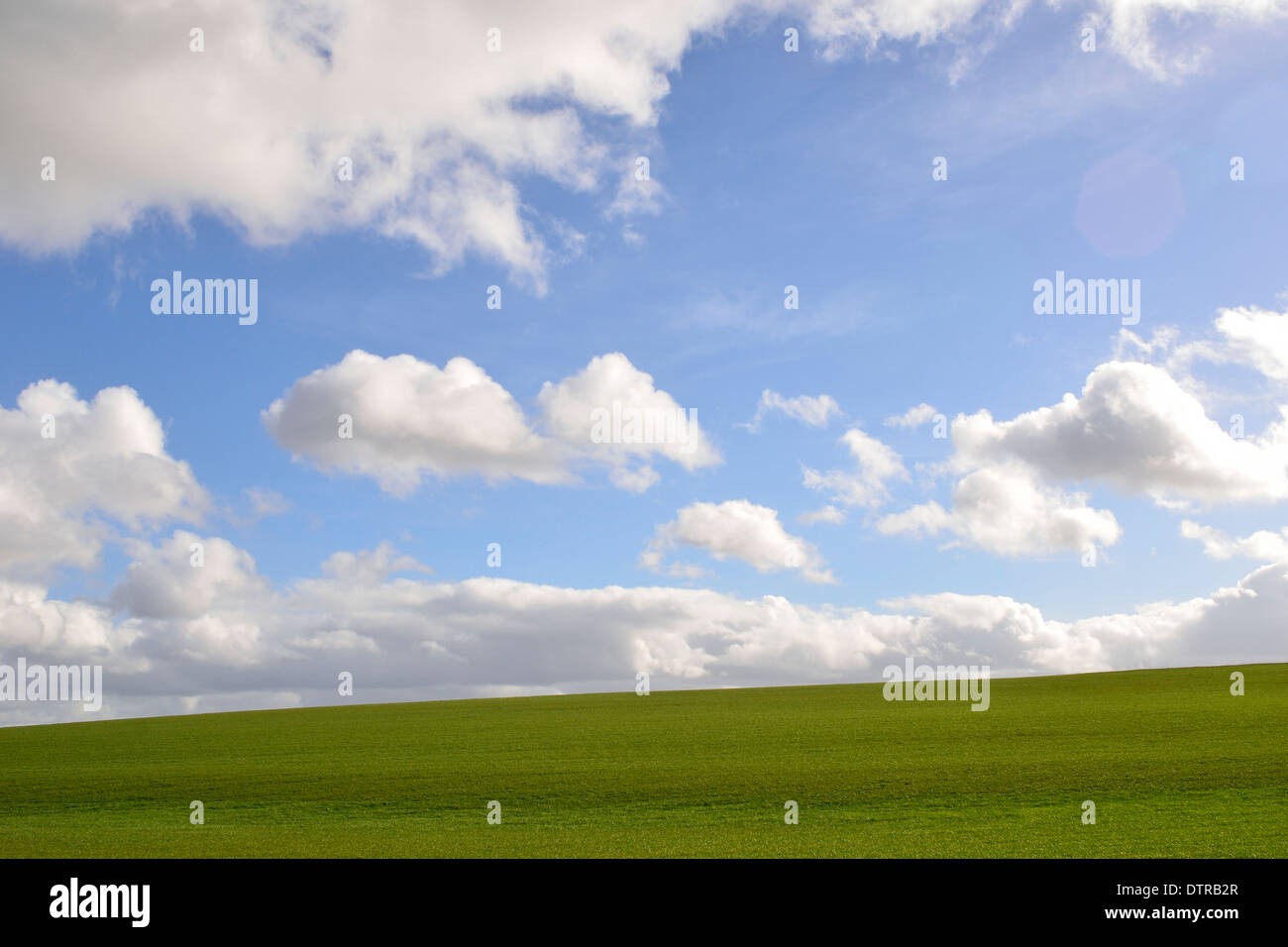 Campo verde y azul cielo paisaje Foto de stock