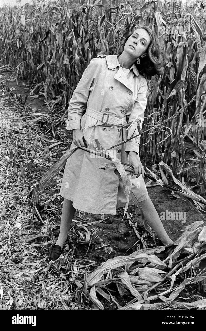 1960 modelo de pasarela con impermeable posando en un campo de maíz Foto de stock