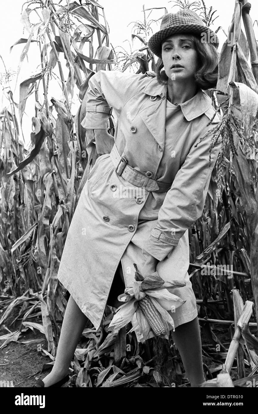 1960 modelo de pasarela con impermeable y sombrero posando en un campo de maíz Foto de stock