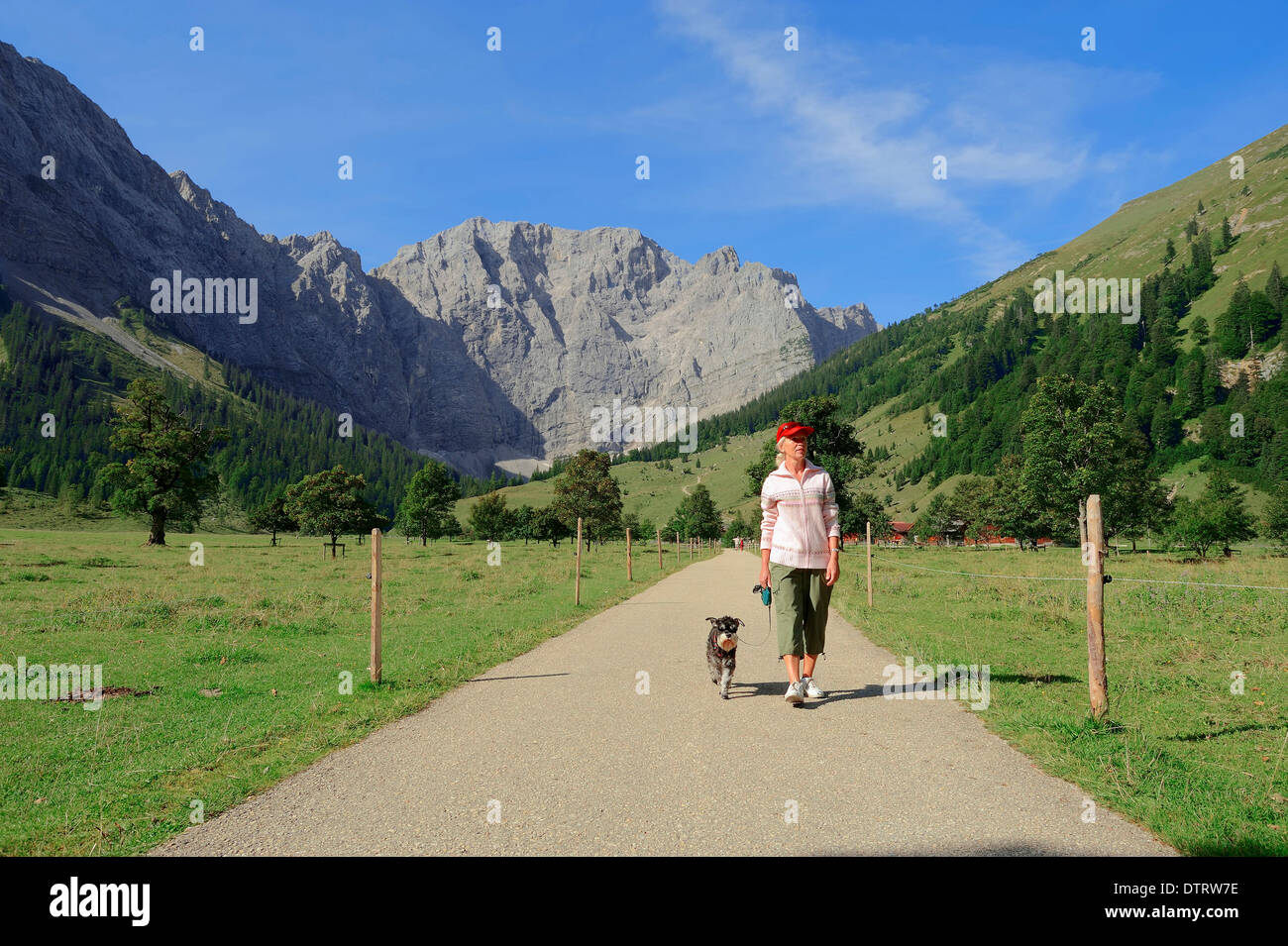 Mujer con Schnauzer miniatura, negro-plata, Grosser Ahornboden, Karwendel park, Eng valle, Tirol, Austria / caminante Foto de stock