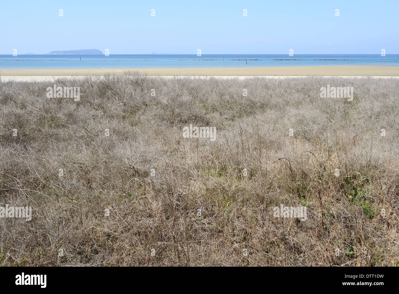 Vistas panorámicas de arbustos beach Foto de stock