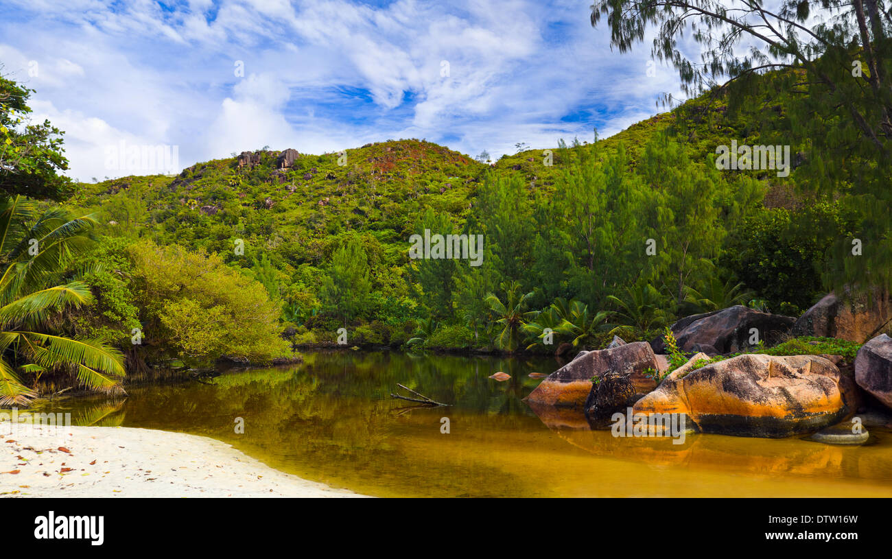 Lago en junglas en Seychelles Foto de stock
